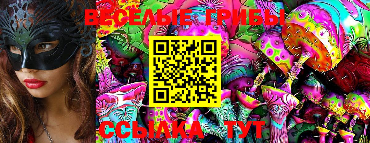 Галлюциногенные грибы Psilocybe Златоуст